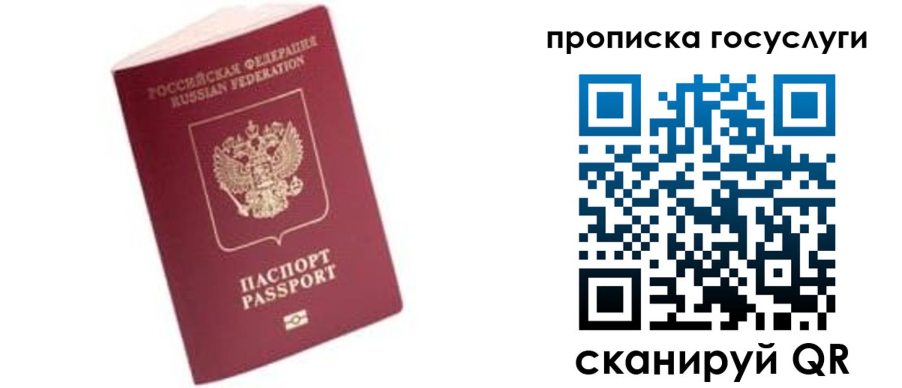 прописка в Алексеевке